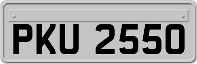 PKU2550