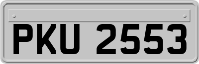 PKU2553