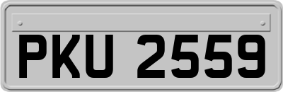 PKU2559