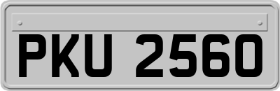 PKU2560