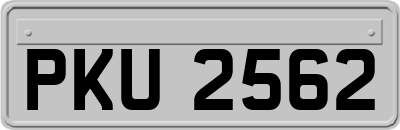 PKU2562