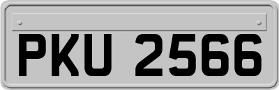PKU2566