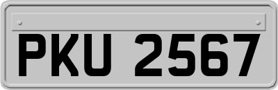 PKU2567
