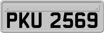 PKU2569