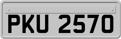 PKU2570