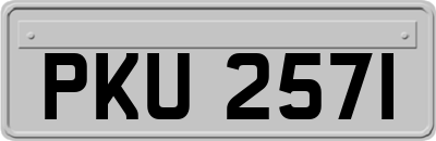 PKU2571