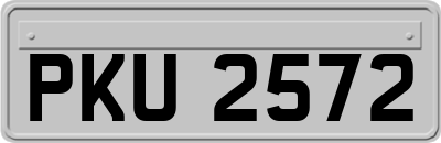 PKU2572