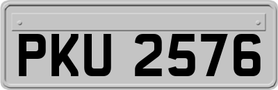 PKU2576