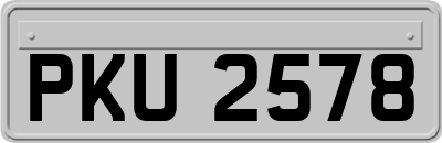PKU2578