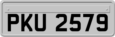 PKU2579