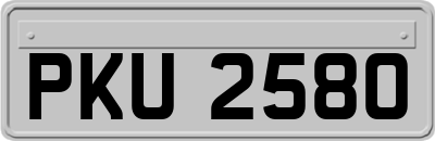 PKU2580