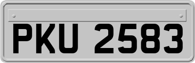 PKU2583