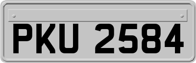 PKU2584