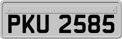 PKU2585
