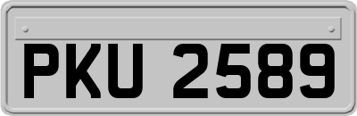 PKU2589