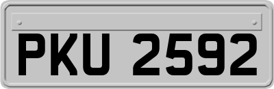 PKU2592