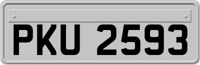 PKU2593