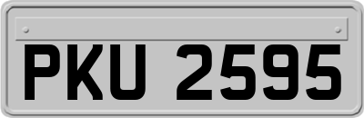 PKU2595