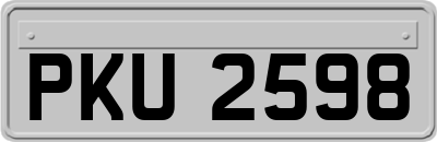 PKU2598