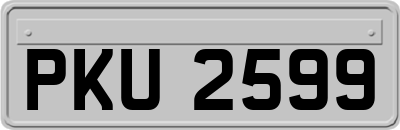PKU2599
