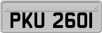 PKU2601