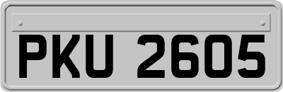PKU2605