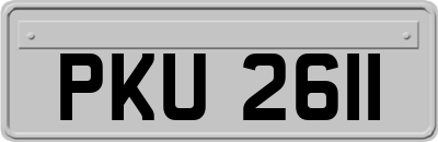 PKU2611