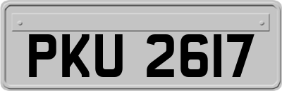 PKU2617