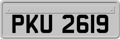 PKU2619