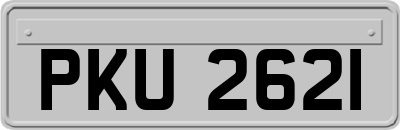 PKU2621