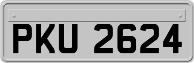 PKU2624