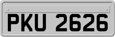PKU2626
