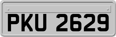 PKU2629