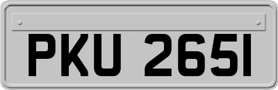 PKU2651