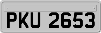 PKU2653
