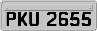 PKU2655