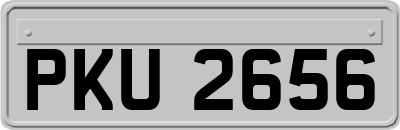 PKU2656
