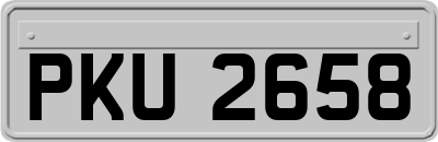 PKU2658