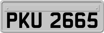 PKU2665