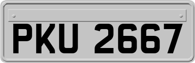 PKU2667