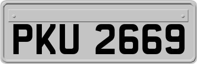 PKU2669