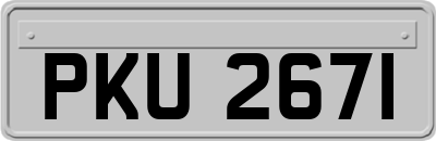 PKU2671