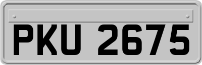 PKU2675