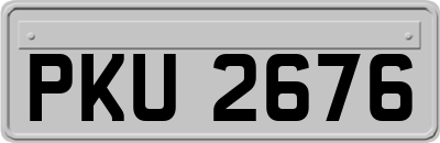 PKU2676