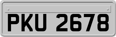 PKU2678