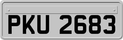 PKU2683