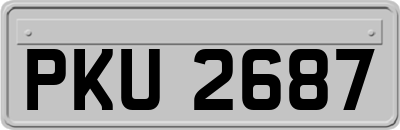PKU2687