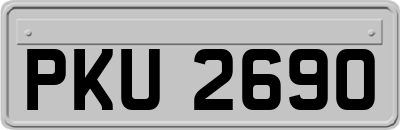PKU2690