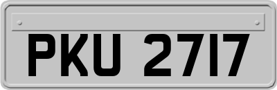 PKU2717