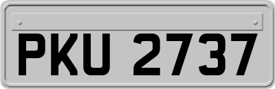 PKU2737